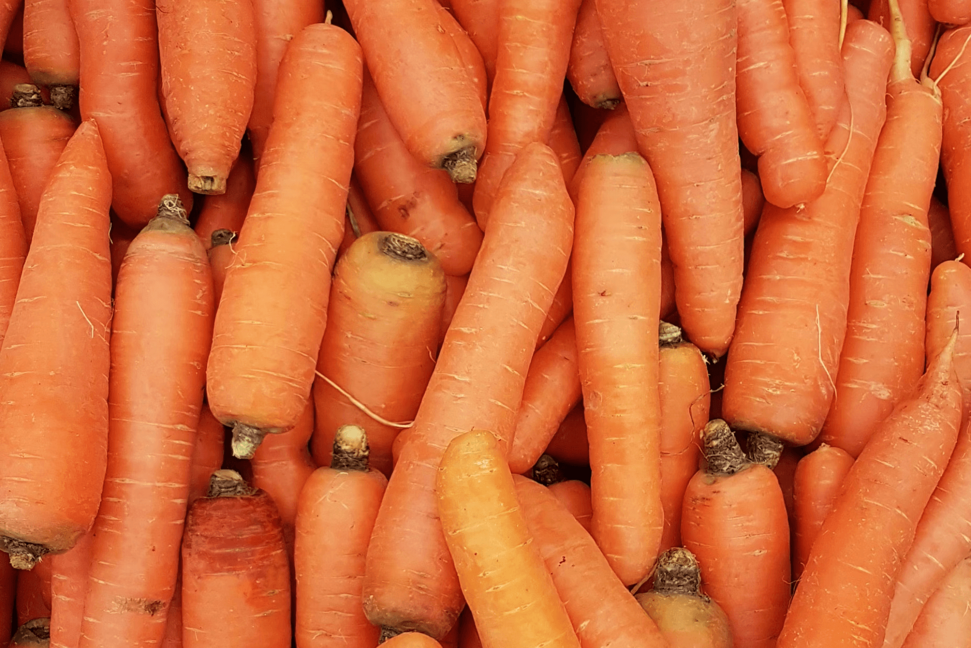 Fresh Vegetables and Their Availability